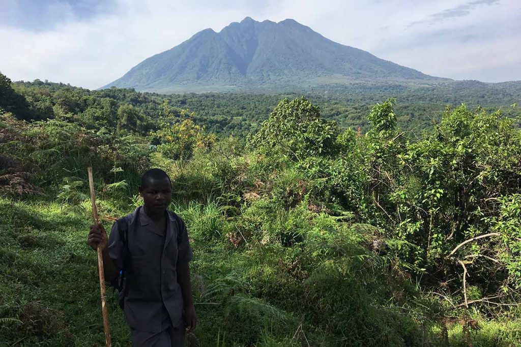 Gorilla Trekking Guide