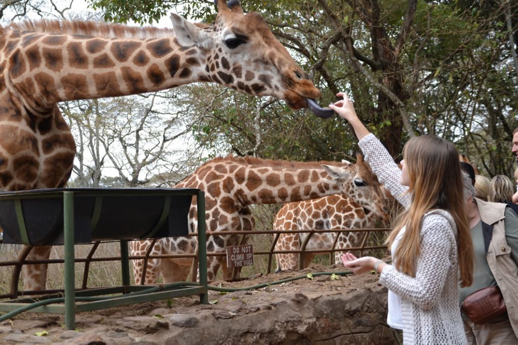 Experience Fun on Kenya Safari