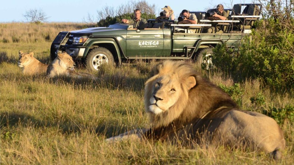 Game Viewing in South Africa